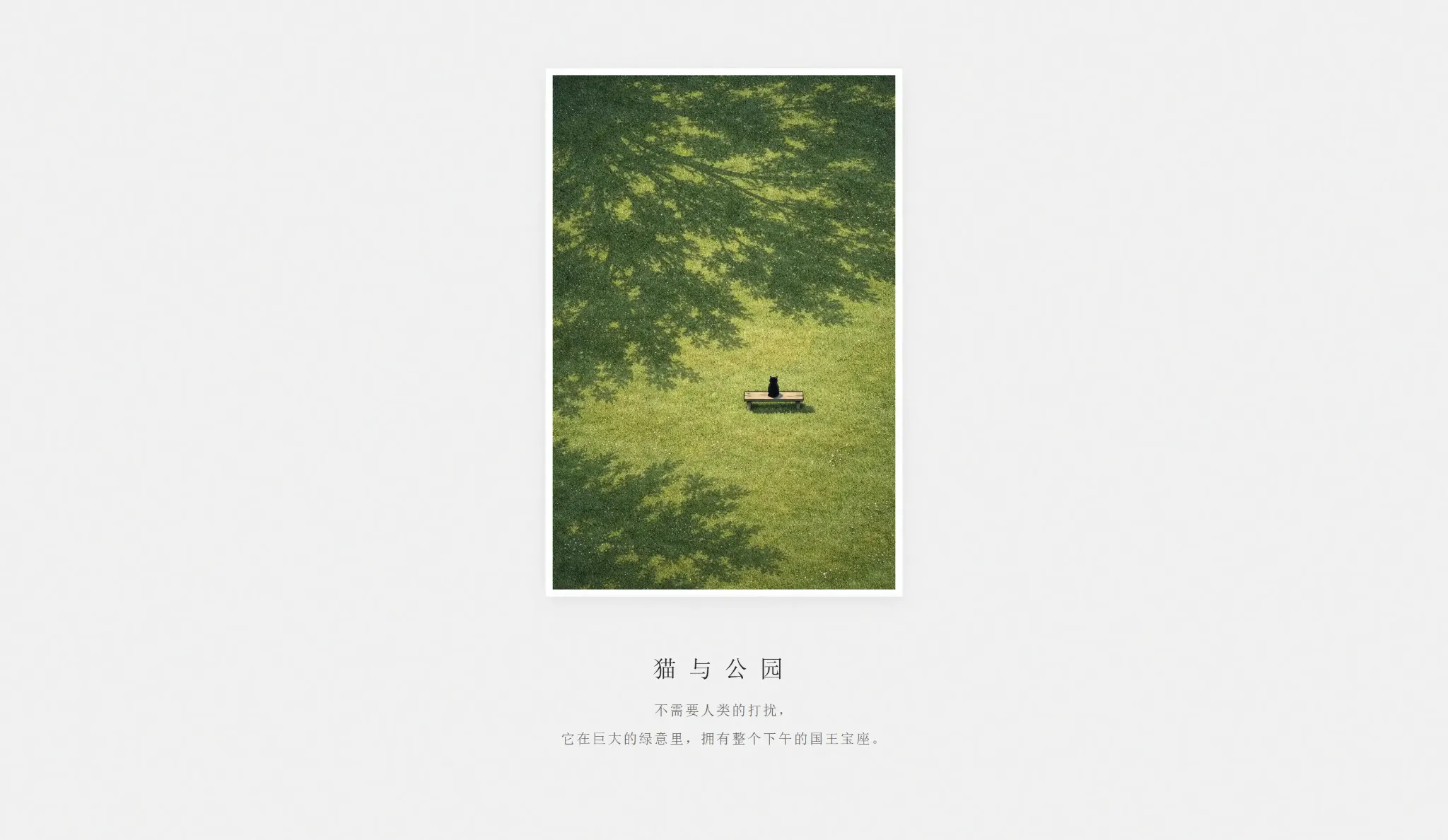 浮于线上插画展封面