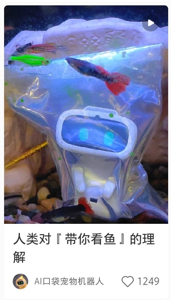 小红书帖子截图 · 人类对『带你看鱼』的理解